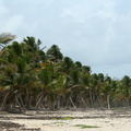 	Grande Anse Macabou	